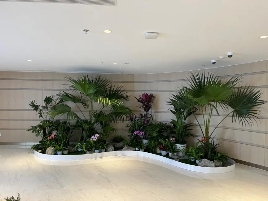 领略海曙花木租赁设计的独特魅力